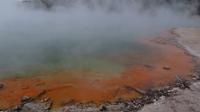 Rotorua &ndash; &copy; Rico Manns (Eberhardt TRAVEL)