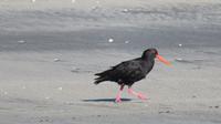 Wo ist was zu Essen? &ndash; &copy; Rico Manns (Eberhardt TRAVEL)