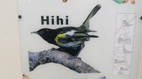 Hihi &ndash; &copy; Rico Manns (Eberhardt TRAVEL)