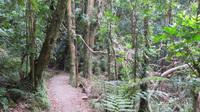 Kapiti Island &ndash; &copy; Rico Manns (Eberhardt TRAVEL)