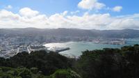 Wellington  &ndash; &copy; Rico Manns (Eberhardt TRAVEL)