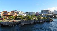 Wellington  &ndash; &copy; Rico Manns (Eberhardt TRAVEL)