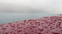 TSS Earnslaw &ndash; &copy; Rico Manns (Eberhardt TRAVEL)