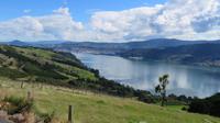 Dunedin &ndash; &copy; Rico Manns (Eberhardt TRAVEL)