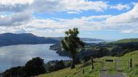 Dunedin &ndash; &copy; Rico Manns (Eberhardt TRAVEL)