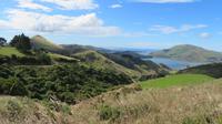 Dunedin &ndash; &copy; Rico Manns (Eberhardt TRAVEL)