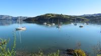 Akaroa &ndash; &copy; Rico Manns (Eberhardt TRAVEL)