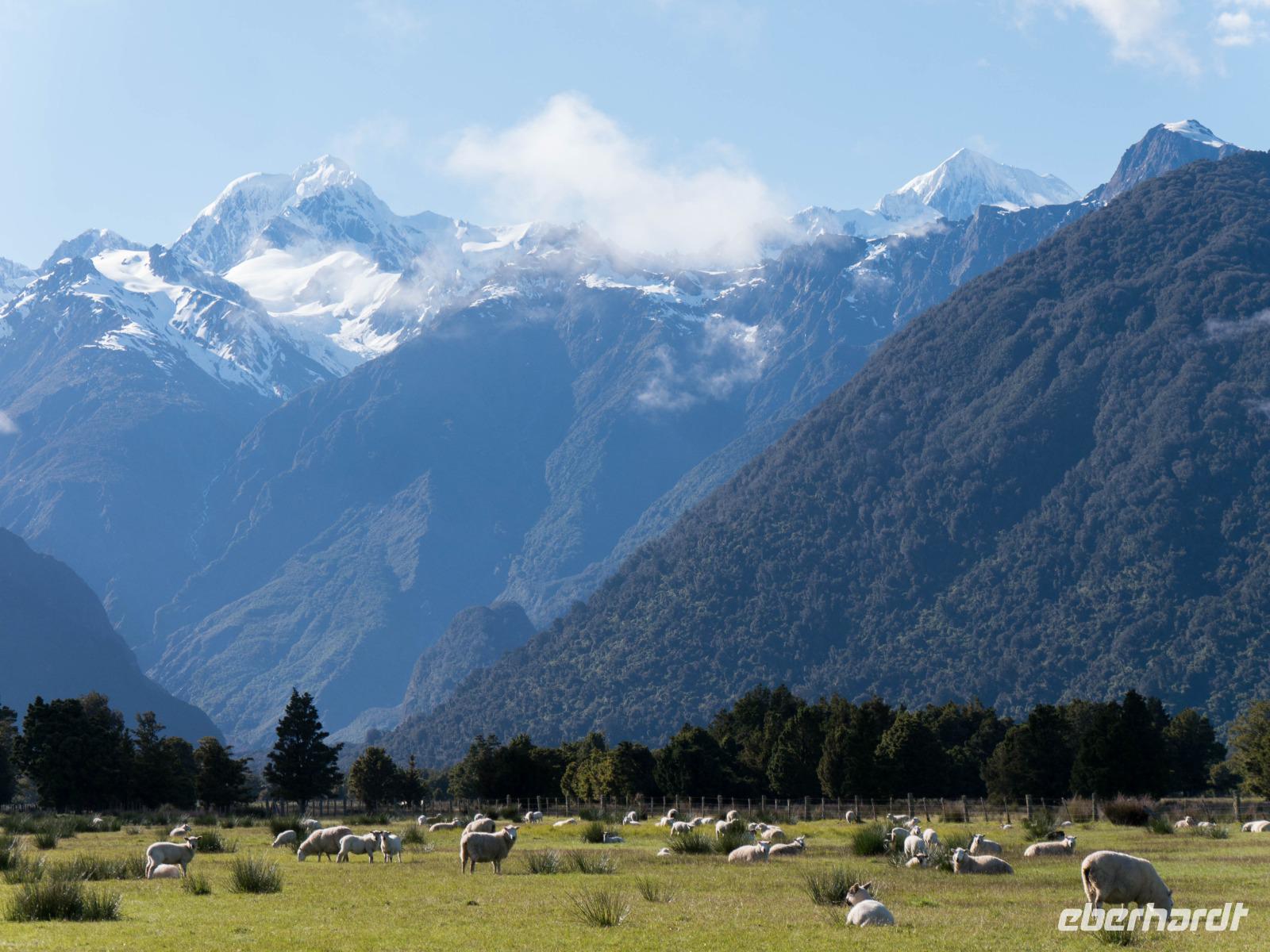 Mount Cook & Mount Tasman &ndash; &copy; Anna Stiebing (Eberhardt TRAVEL)