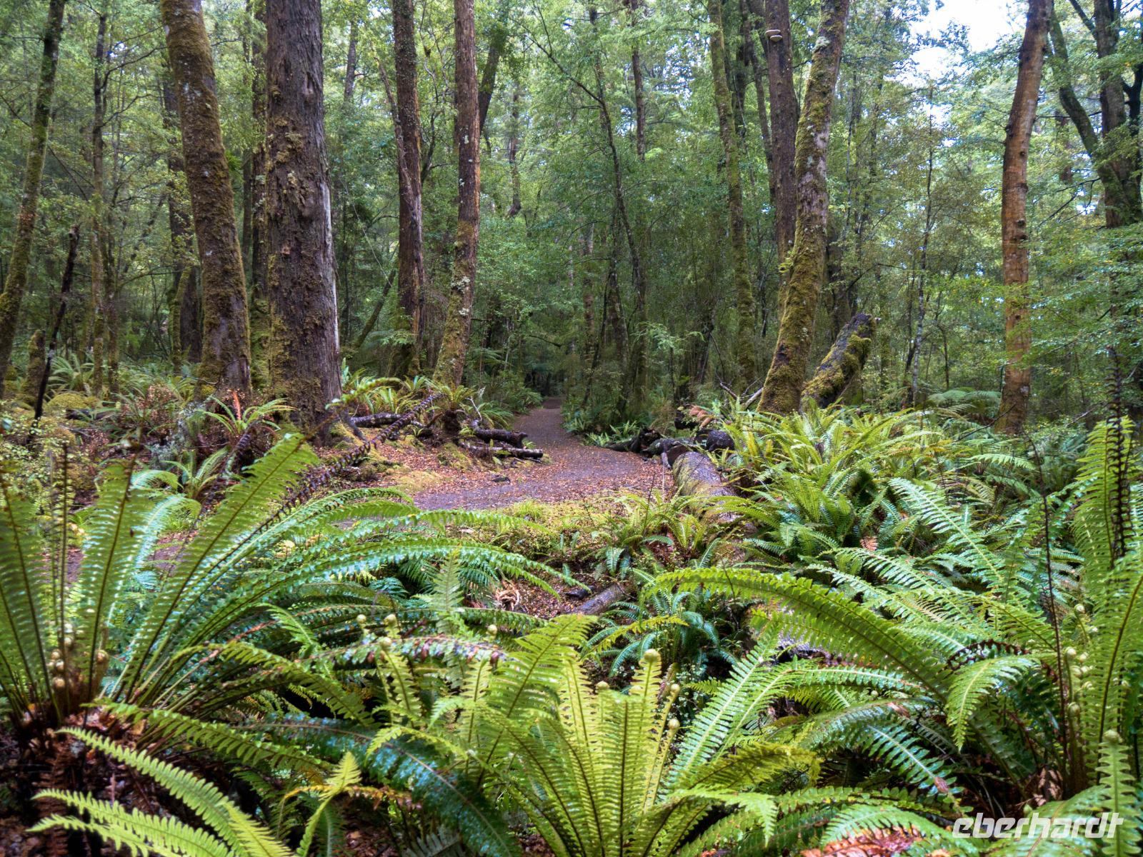 Kepler Track &ndash; &copy; Anna Stiebing (Eberhardt TRAVEL)