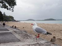 Mission Bay &ndash; &copy; Anna Stiebing (Eberhardt TRAVEL)