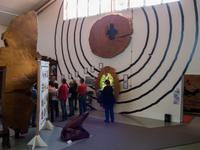 Kauri Museum &ndash; &copy; Anna Stiebing (Eberhardt TRAVEL)