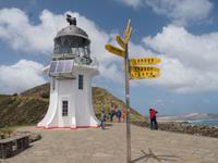 Cape Reinga &ndash; &copy; Anna Stiebing (Eberhardt TRAVEL)