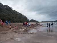 Hot Water Beach &ndash; &copy; Anna Stiebing (Eberhardt TRAVEL)