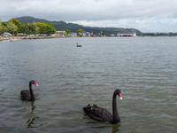 Rotorua &ndash; &copy; Anna Stiebing (Eberhardt TRAVEL)