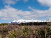 Tongariro-Nationalpark &ndash; &copy; Anna Stiebing (Eberhardt TRAVEL)