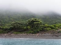 Kapiti Island &ndash; &copy; Anna Stiebing (Eberhardt TRAVEL)