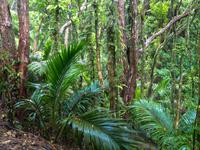 Kapiti Island &ndash; &copy; Anna Stiebing (Eberhardt TRAVEL)