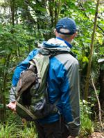 Kapiti Island, frecher Kaka &ndash; &copy; Anna Stiebing (Eberhardt TRAVEL)
