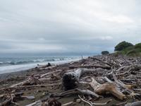 Kapiti Island &ndash; &copy; Anna Stiebing (Eberhardt TRAVEL)
