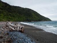 Kapiti Island &ndash; &copy; Anna Stiebing (Eberhardt TRAVEL)