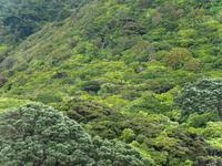 Kapiti Island &ndash; &copy; Anna Stiebing (Eberhardt TRAVEL)