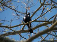 Tui &ndash; &copy; Anna Stiebing (Eberhardt TRAVEL)