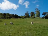 unsere kleine Farm &ndash; &copy; Anna Stiebing (Eberhardt TRAVEL)