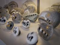 Kiwi-Art &ndash; &copy; Anna Stiebing (Eberhardt TRAVEL)