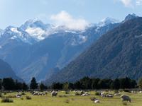 Mount Cook & Mount Tasman &ndash; &copy; Anna Stiebing (Eberhardt TRAVEL)
