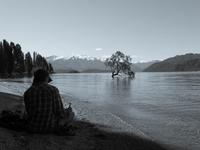 Wanaka Tree &ndash; &copy; Anna Stiebing (Eberhardt TRAVEL)