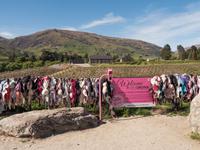 Bradrona &ndash; &copy; Anna Stiebing (Eberhardt TRAVEL)