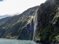 Milford Sound Kreuzfahrt &ndash; &copy; Anna Stiebing (Eberhardt TRAVEL)