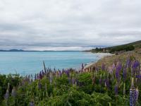 Lake Pukaki &ndash; &copy; Anna Stiebing (Eberhardt TRAVEL)