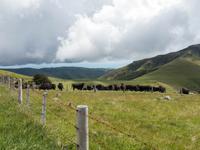 Banks Peninsula &ndash; &copy; Anna Stiebing (Eberhardt TRAVEL)