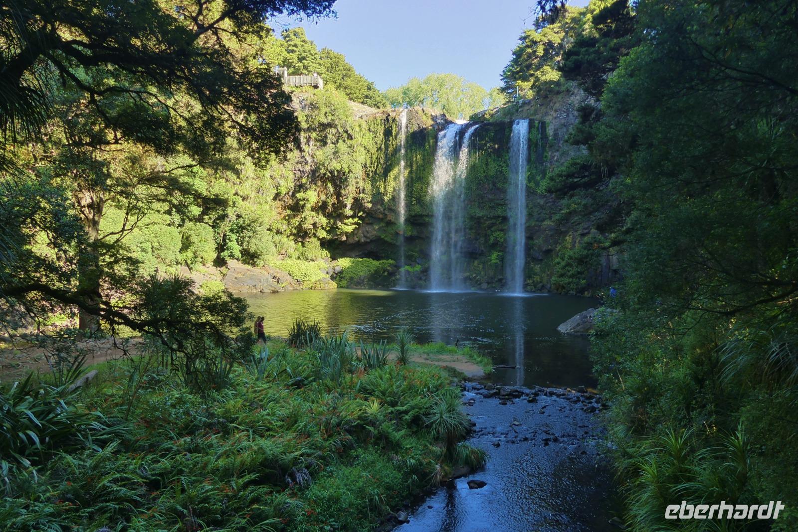 Whangarai Wasserfälle &ndash; &copy; Frank Nimschowski (Eberhardt TRAVEL)