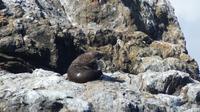 Bay of Islands &ndash; &copy; Frank Nimschowski (Eberhardt TRAVEL)