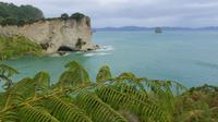 Wanderung Cathedral Cove &ndash; &copy; Frank Nimschowski (Eberhardt TRAVEL)