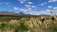 Tongariro Nationalpark &ndash; &copy; Frank Nimschowski (Eberhardt TRAVEL)