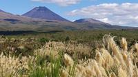 Tongariro Nationalpark, Mount Ngauruhoe  &ndash; &copy; Frank Nimschowski (Eberhardt TRAVEL)