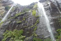 Milford Sound, Fairy Falls &ndash; &copy; Frank Nimschowski (Eberhardt TRAVEL)
