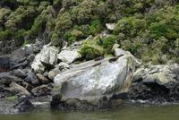 Milford Sound &ndash; &copy; Frank Nimschowski (Eberhardt TRAVEL)
