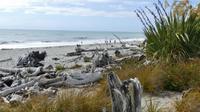 Ship Creek Wanderweg bei Haast &ndash; &copy; Frank Nimschowski (Eberhardt TRAVEL)