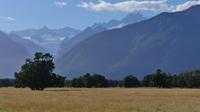 Fox Glacier &ndash; &copy; Frank Nimschowski (Eberhardt TRAVEL)