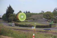 Kiwiland bei Te Puke &ndash; &copy; Kristin Weigel (Eberhardt TRAVEL)