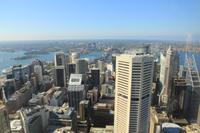 Blick vom Sydney Tower &ndash; &copy; Kristin Weigel (Eberhardt TRAVEL)