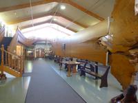 Kauri Museum Matakohe &ndash; &copy; Juliane Voigt (Eberhardt TRAVEL)