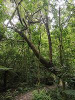 IMG_20190306_101009 &ndash; &copy; Juliane Voigt (Eberhardt TRAVEL)