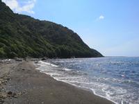 Kapiti Island &ndash; &copy; Juliane Voigt (Eberhardt TRAVEL)
