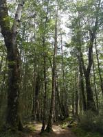 Kepler Track &ndash; &copy; Juliane Voigt (Eberhardt TRAVEL)