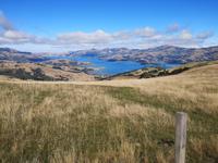 Akaroa &ndash; &copy; Juliane Voigt (Eberhardt TRAVEL)
